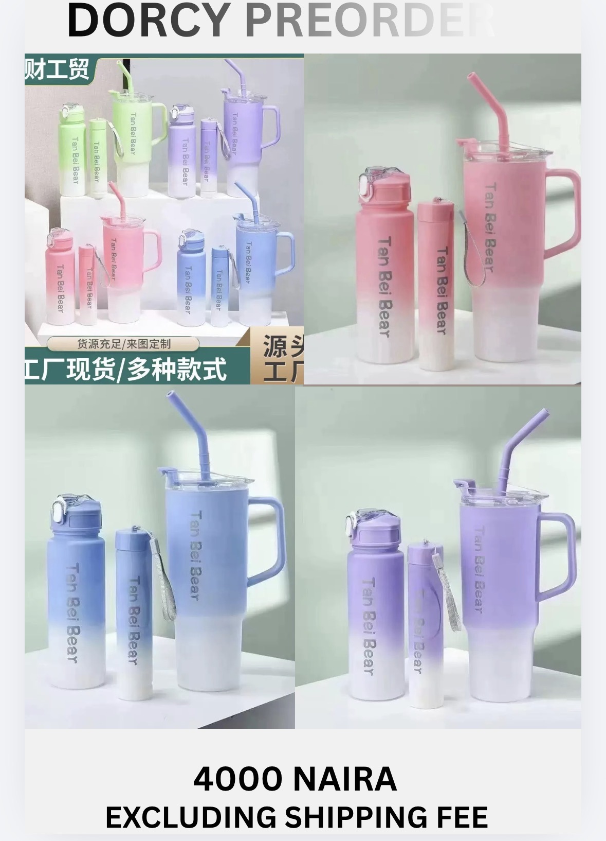 3in1 water bottle